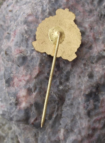 Vintage Humboldt Legionaires USA Ice Hockey Club Supporters Pin Badge