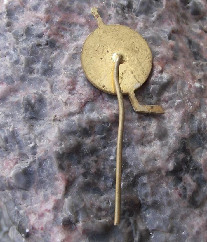 1973 Tesla Pardubice Czech Ice Hockey Team Championship Year Club Pin Badge