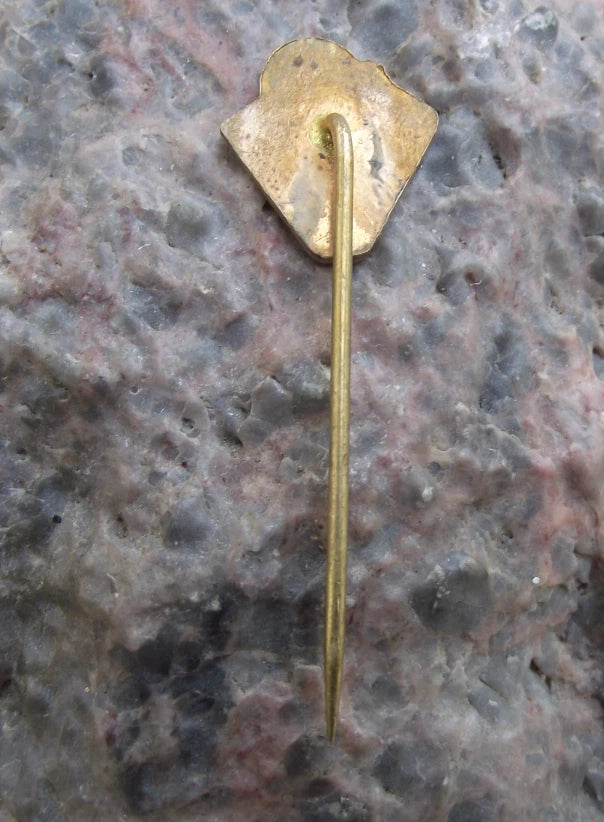 Vintage Tesla Pardubice Ice Hockey Czech Team Player Skater Logo Pin Badge