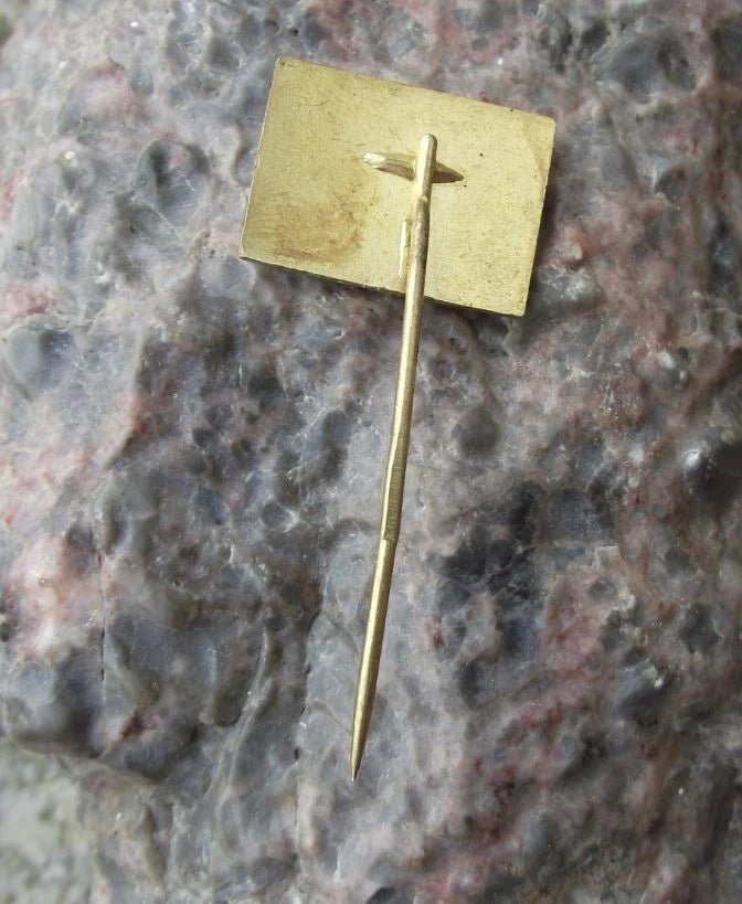 Vintage TJ ZVVZ Milevsko Ice Hockey Team Czechoslovakia Stick Logo Pin Badge