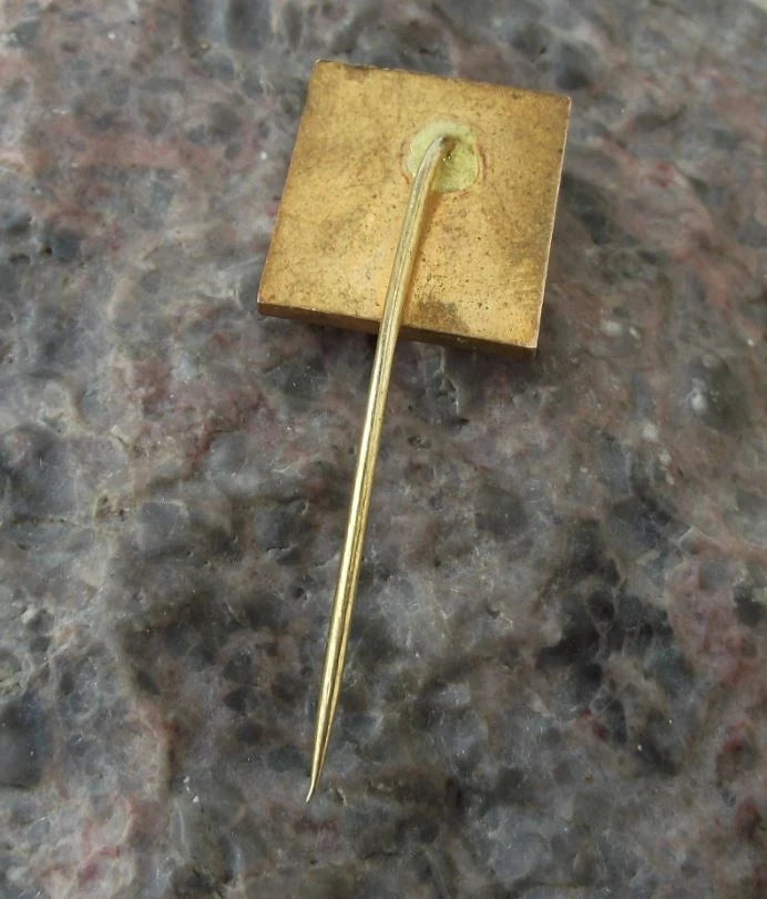 Vintage TJ CSAO Zabreh na Morave Czech Ice Hockey Team Club Logo Pin Badge