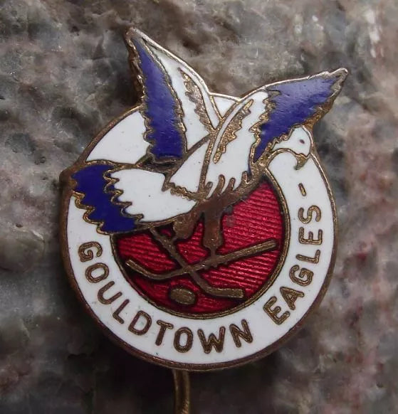 Vintage Gouldtown Eagles Former NHL Ice Hockey Pin Badge