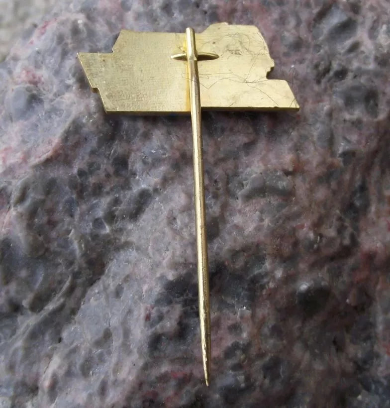Vintage Tatra Trucks Model T 815 Paris Dakar Rally Heavy Duty Lorry Pin Badge
