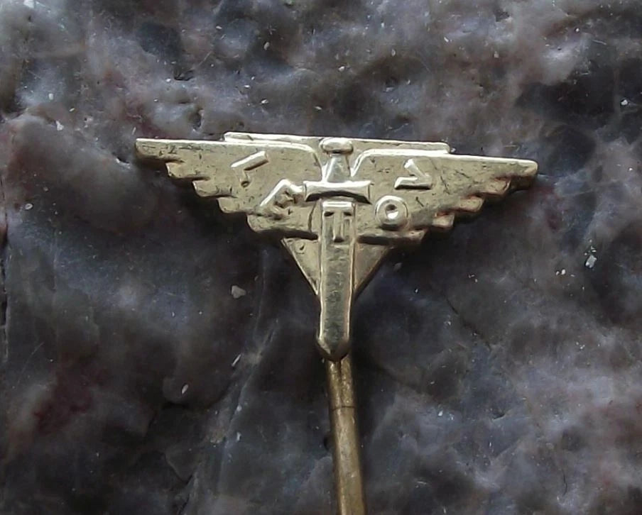 Vintage Rudy Letov Czechoslovakia Aircraft Factory Winged Sword Logo Pin Badge - Badgecrazy