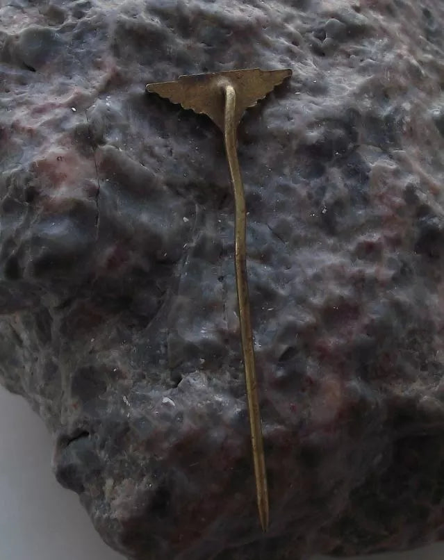 Vintage Rudy Letov Czechoslovakia Aircraft Factory Winged Sword Logo Pin Badge - Badgecrazy