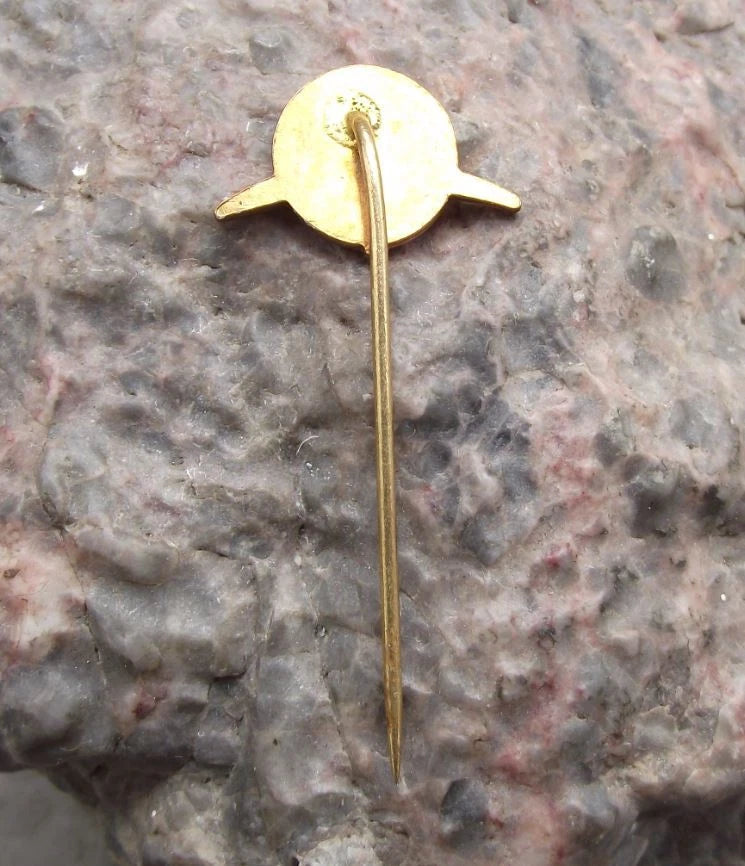 1970's AVIA Czech Aviation Aircraft Truck Company Sea Bird Logo Pin Badge - Badgecrazy