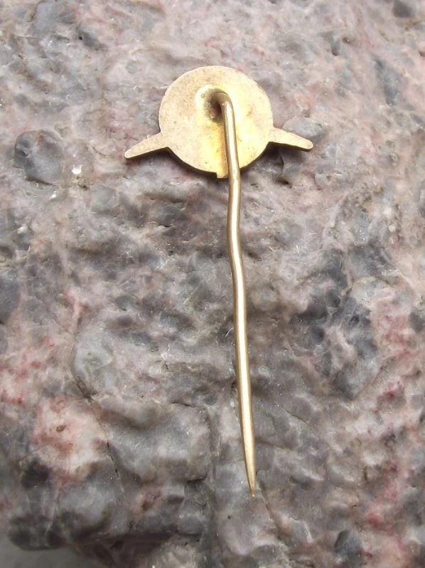 1960's AVIA Czech Aviation Aircraft Truck Company Sea Bird Logo Pin Badge - Badgecrazy