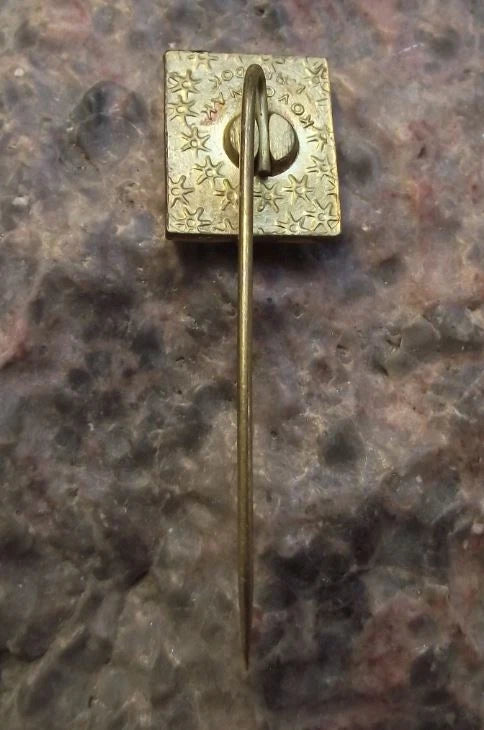 Czech Railway Rail System Train Wagon Rolling Stock Vagonky Poprad Pin Badge