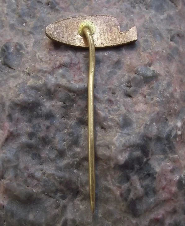 Vintage Czech Railway System Train Wagon Maker Tatra Vagonky Carriages Pin Badge