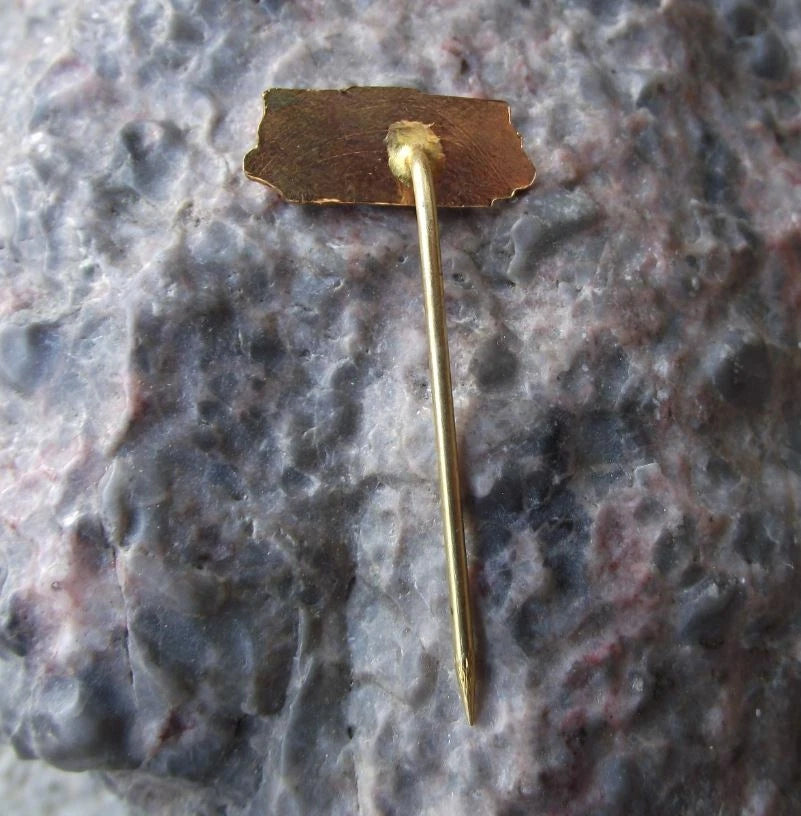 Czechoslovakia Railway CSD Electric Passenger Cargo Train Engine Rail Pin Badge