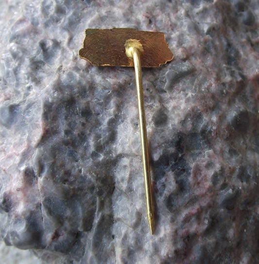 Czechoslovakia Railway CSD Electric Passenger Cargo Train Engine Rail Pin Badge