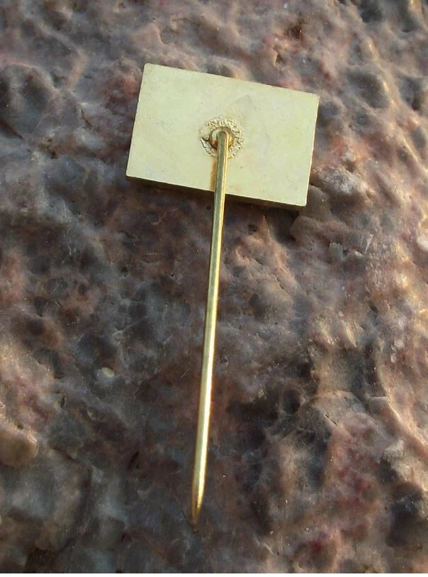 CD Czech Railway System Ceske Drahy Train Network Modern Logo Pin Badge