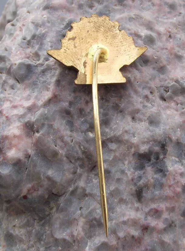 Vintage Czech Railways CSD Train Locomotive Repair Sheds Nymburk Pin Badge