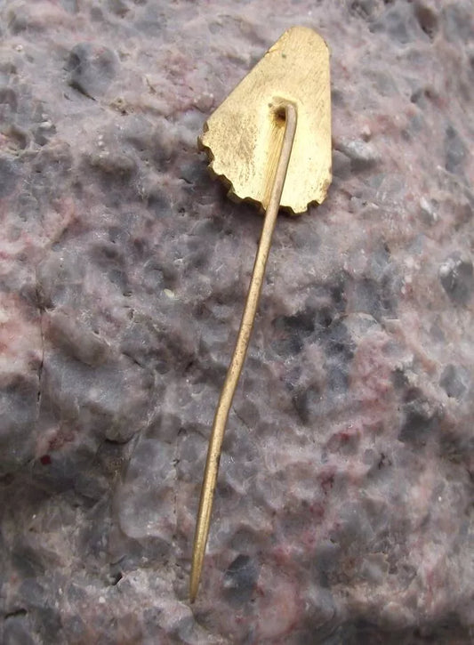 Vintage Czechoslovakia Railway CSD Train Cierna nad Tisou Training Pin Badge