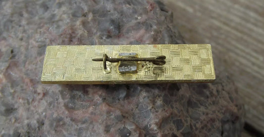 Vintage Tu-144 Tupolev Airliner Russian Supersonic Aircraft CCCP Pin Badge