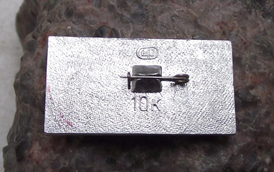 Vintage Aeroflot Aviation 1929 ANT-9 Tupolev Passenger Aircraft Pin Badge