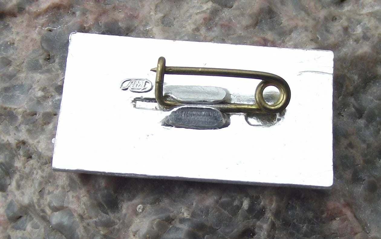 Aeroflot Russian Airlines Red Airliner Around the Globe Aircraft Logo Pin Badge