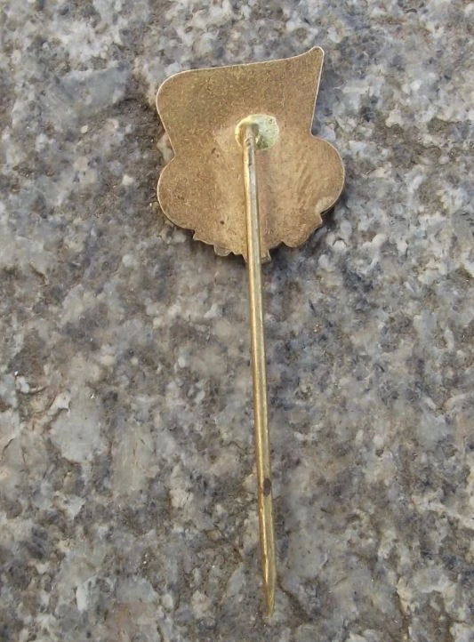 Vintage Czechoslovakia Czech State Sports Association CSTV Track Logo Pin Badge