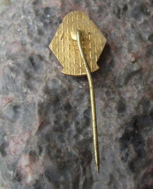 Vintage Czech Post Office Postal Workers Trade Union ROH Members Pin Badge