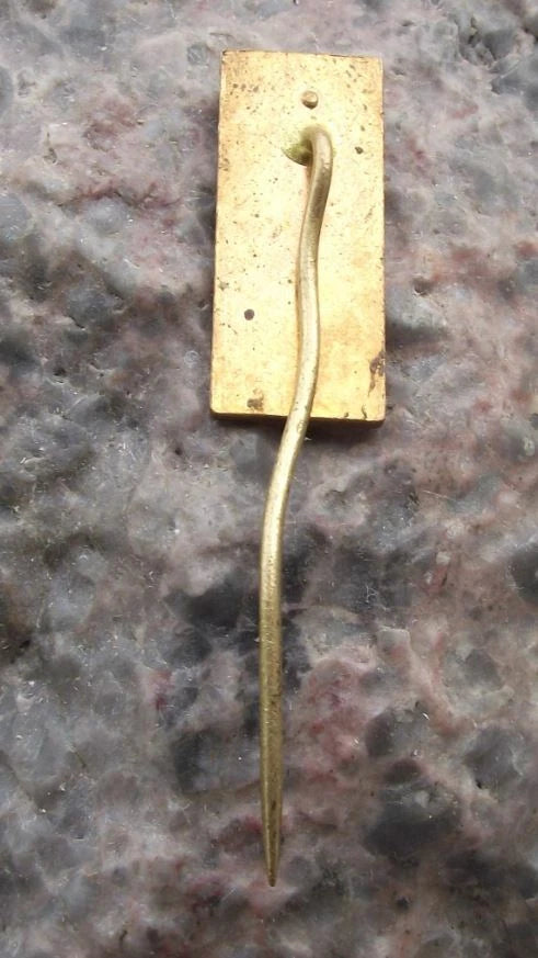 1972 ISDT International 6 Six Day Event Motorcycle MX Enduro Jawa Race Pin Badge