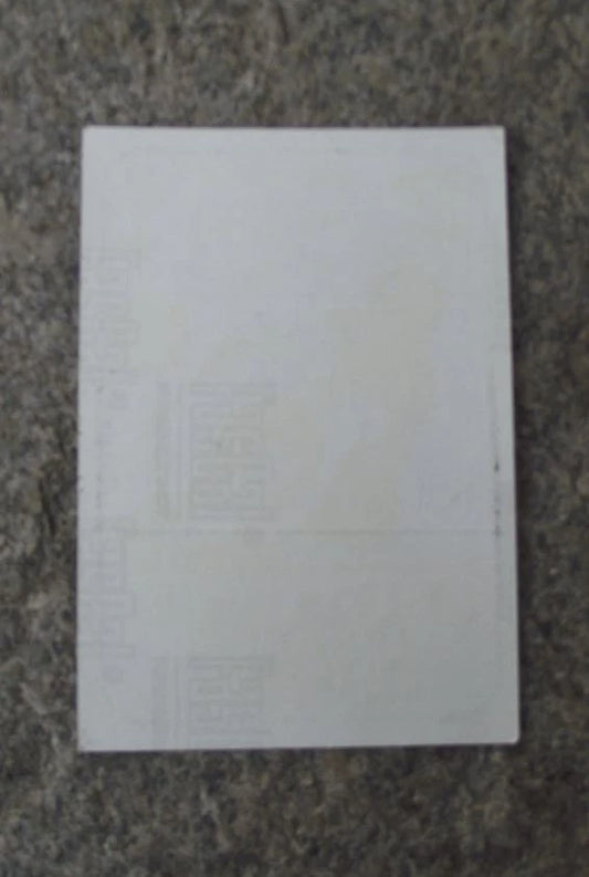 1980's FIM Grand Prix MZ Honda Yamaha Suzuki CSSR MotoGP Motorbike Sticker Decal