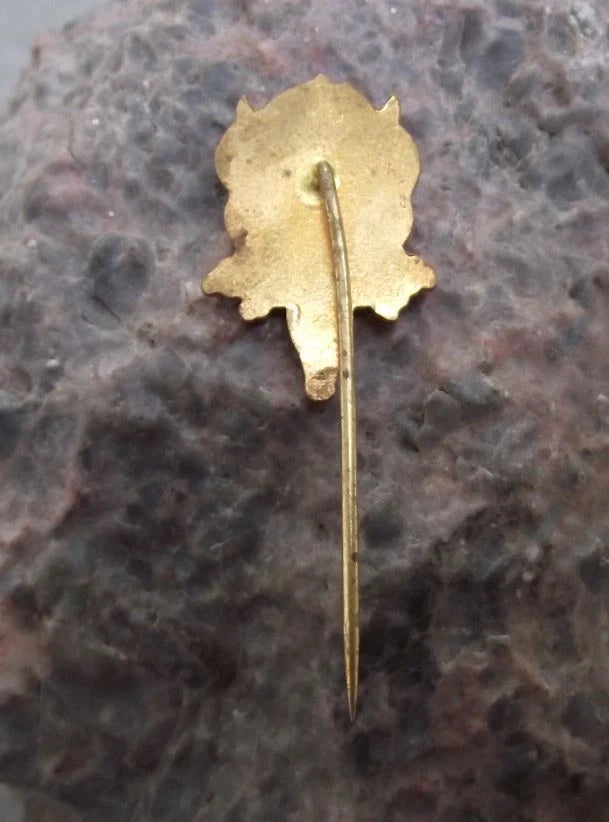 Vintage Brno Hunting Cabin Exhibition Deer Stag Skull Hunters Trophy Pin Badge