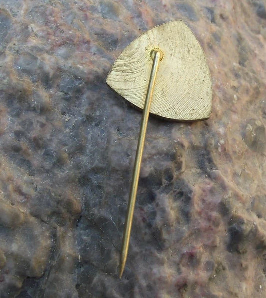 Vintage Czechoslovakia State Forestry Moravia Trees Logo Forest Pin Badge
