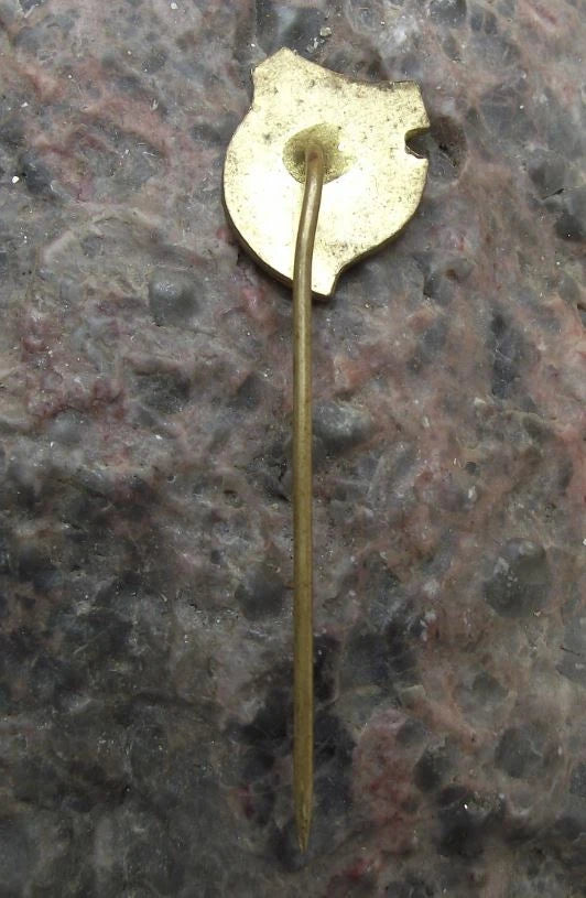 Vintage Czech State Forestry Krnov Wood River Trees Forest Pin Badge