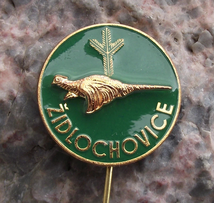 Vintage CMS Czech Hunting Association Židlochovice Pheasant Hunter Pin Badge