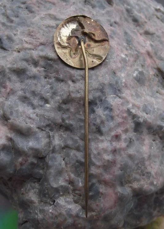 Vintage Giant Grouse Capercaillie Czech Hunting Club Fan Tailed Bird Pin Badge