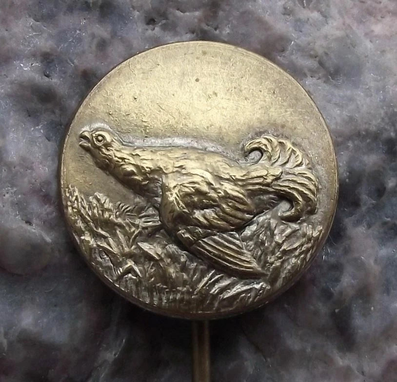 Vintage Giant Grouse Capercaillie Czech Hunting Association Game Bird Pin Badge