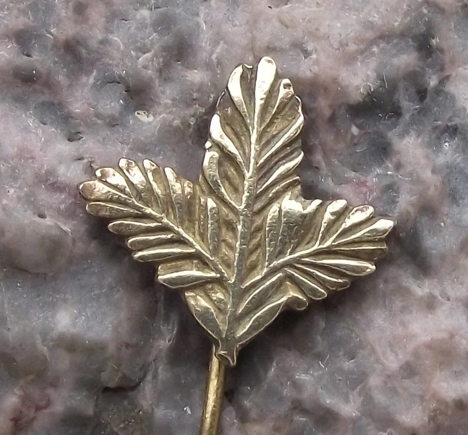Vintage Pine Twig Hunters Emblem Czechoslovakia Hunting Association Pin Badge