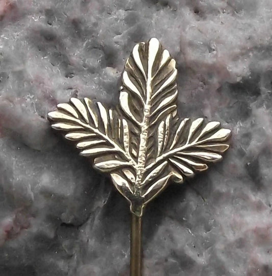 Vintage Pine Twig Hunters Emblem Czechoslovakia Hunting Association Pin Badge
