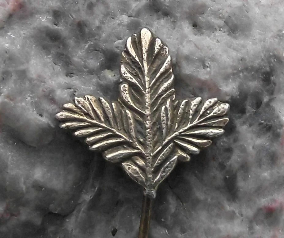 Vintage Pine Twig Hunters Emblem Czechoslovakia Hunting Association Pin Badge