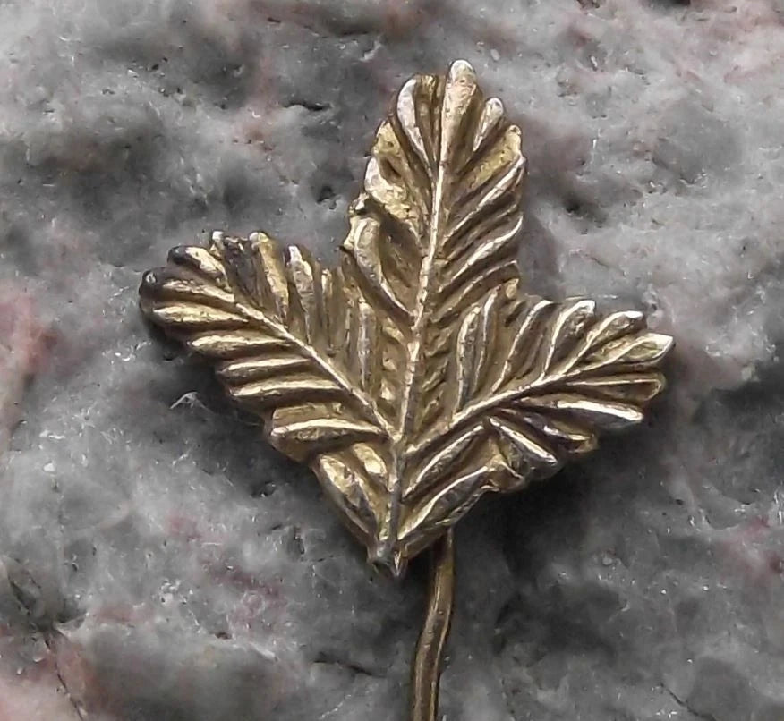 Vintage Pine Twig Hunters Emblem Czechoslovakia Hunting Association Pin Badge