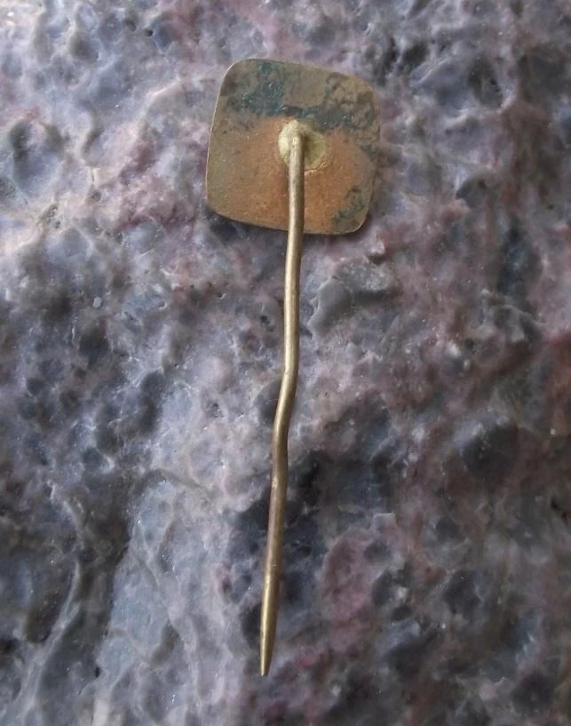 Vintage Czechoslovakia State Forestry LZ Bruntal Chainsaw Pin Badge