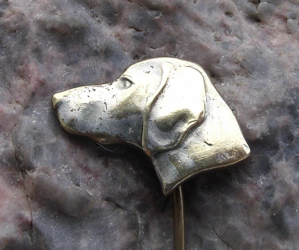 Vintage CMS CSMS Czech Hunting Hound Gun Pointer Sniffer Dog Pin Badge