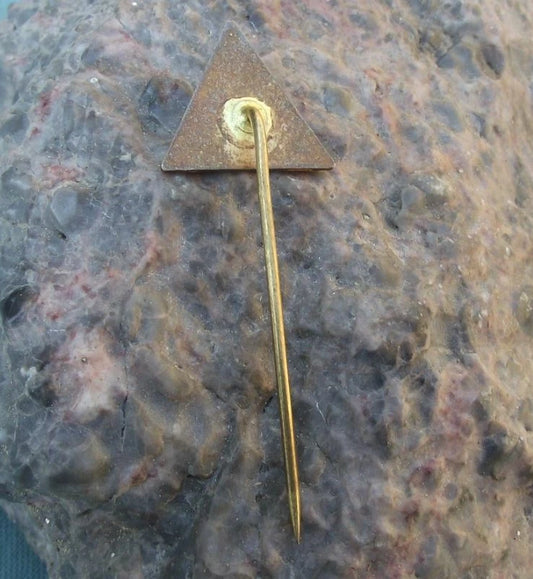 Vintage Czechoslovakia State Forestry Frenstat pod Radhostem Forest Pin Badge