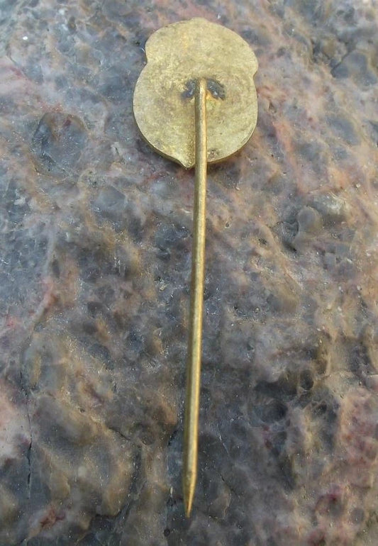 Vintage Czechoslovakia State Forestry LZ Straznice Deer Trees Forest Pin Badge