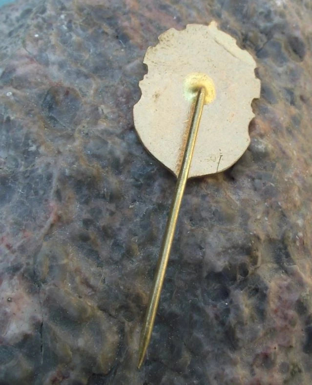 Vintage Czechoslovakia State Forestry LZ Boskovice Trees Forest Pin Badge