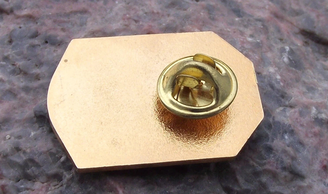 NASA Space Shuttle Mission STS 126 Endeavour ISS Assembly Launch Team Pin Badge