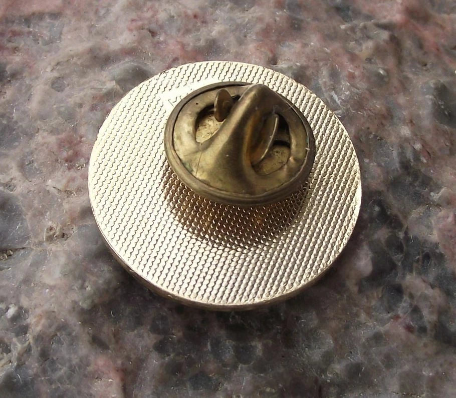NASA STS-41-D Space Shuttle Discovery Telstar Satellite Launch Tie Pin Badge