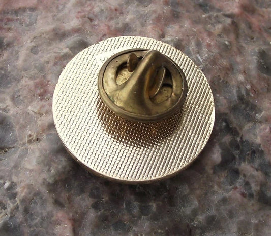 NASA STS-41-D Space Shuttle Discovery Telstar Satellite Launch Tie Pin Badge