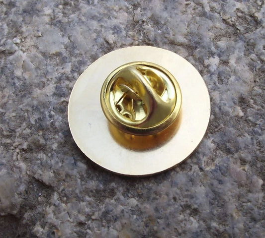 NASA Space Shuttle STS 49 Endeavour Intelsat Rescue Mission Tie Pin Badge