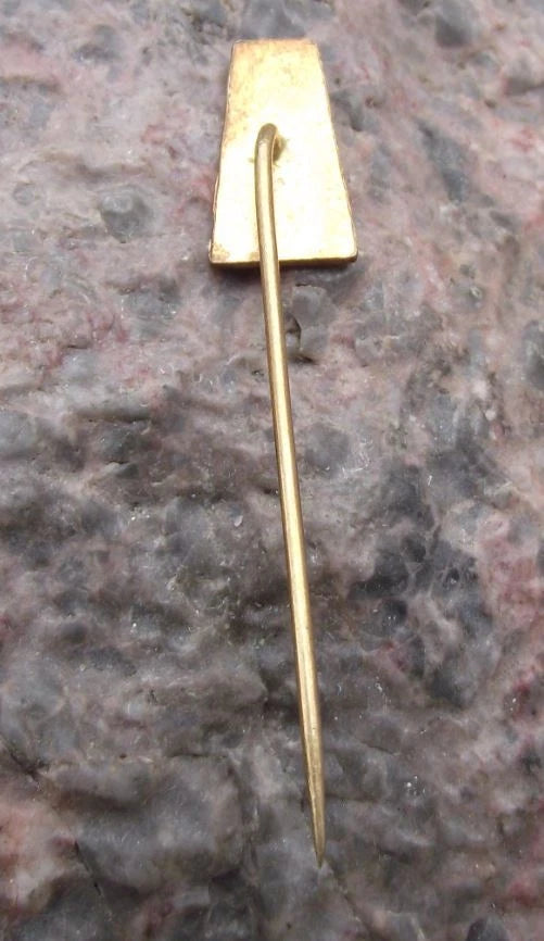 Vintage Teplice City Czech Sudetenland Spa Town Lazensky Park Tourist Pin Badge