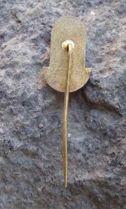 1962 Teplice City Czech Sudetenland Spa Town Rod of Asclepius Pin Badge