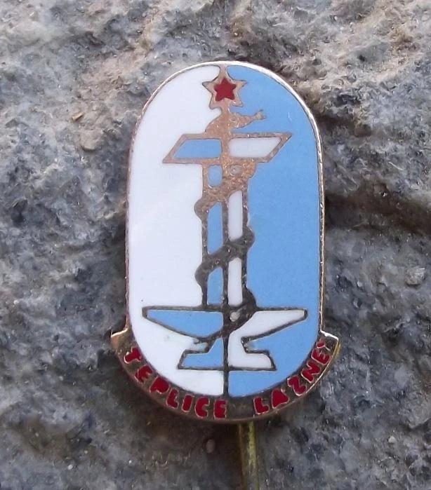 Vintage Teplice City Czech Sudetenland Spa Town Rod of Asclepius Pin Badge