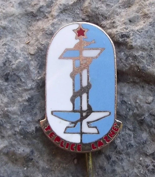 Vintage Teplice City Czech Sudetenland Spa Town Rod of Asclepius Pin Badge
