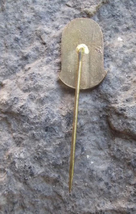 Vintage Teplice City Czech Sudetenland Spa Town Rod of Asclepius Pin Badge