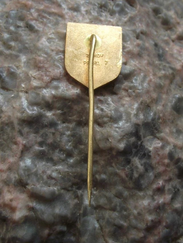 Vintage Telc UNESCO Heritage Site Palace Moravia Rose Emblem Pin Badge